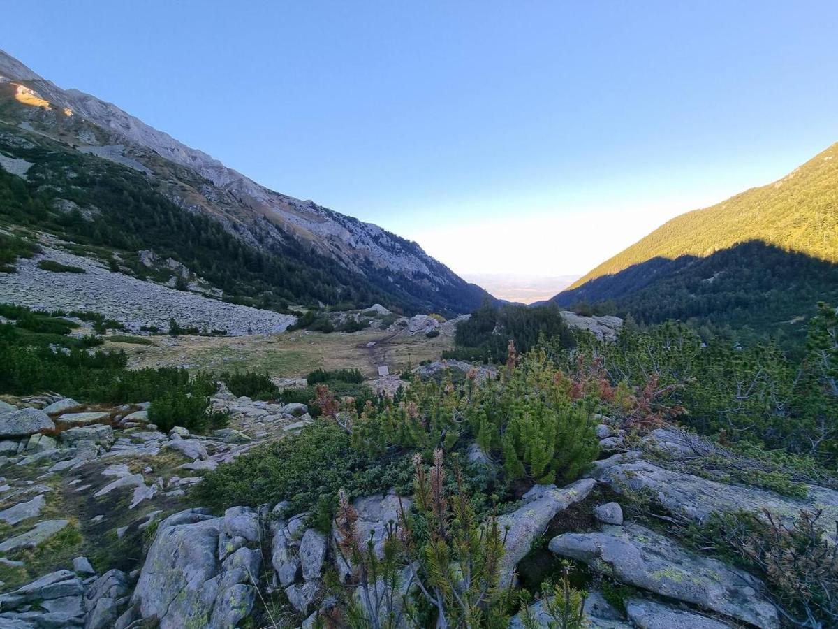 Bansko Royal Towers T&K Apartman Kültér fotó